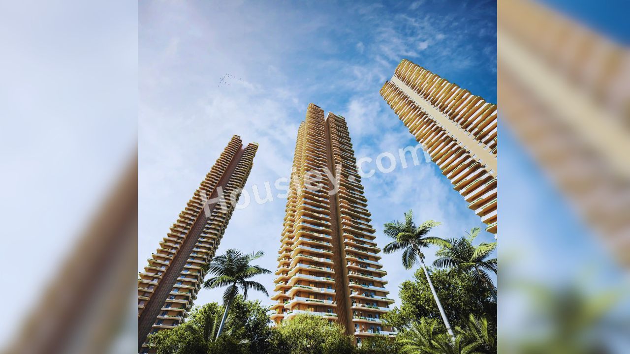 Project image 4