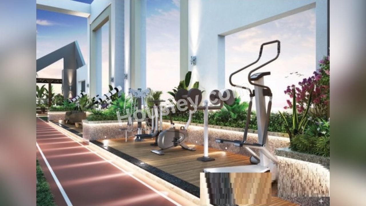 Project image 15