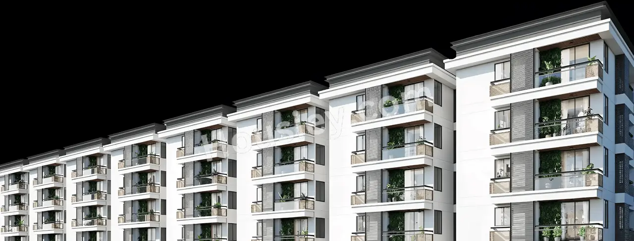 Project image 9