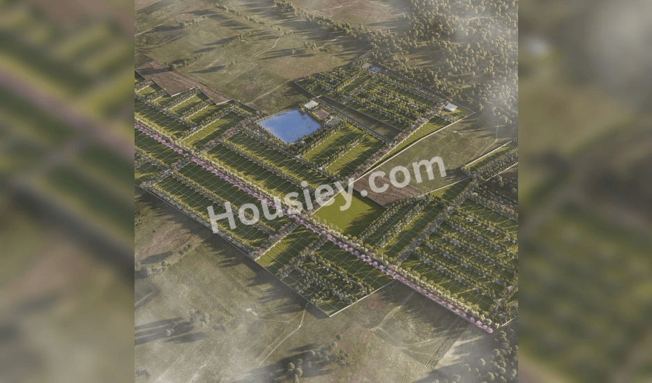 Project image 4
