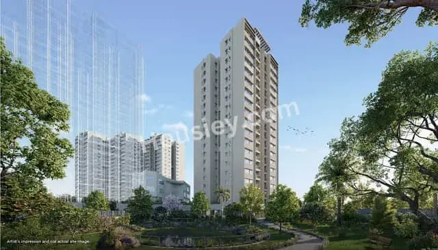 Project image 8