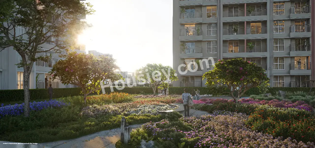 Project image 8