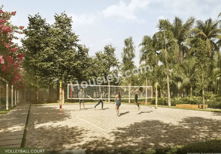 Project image 9