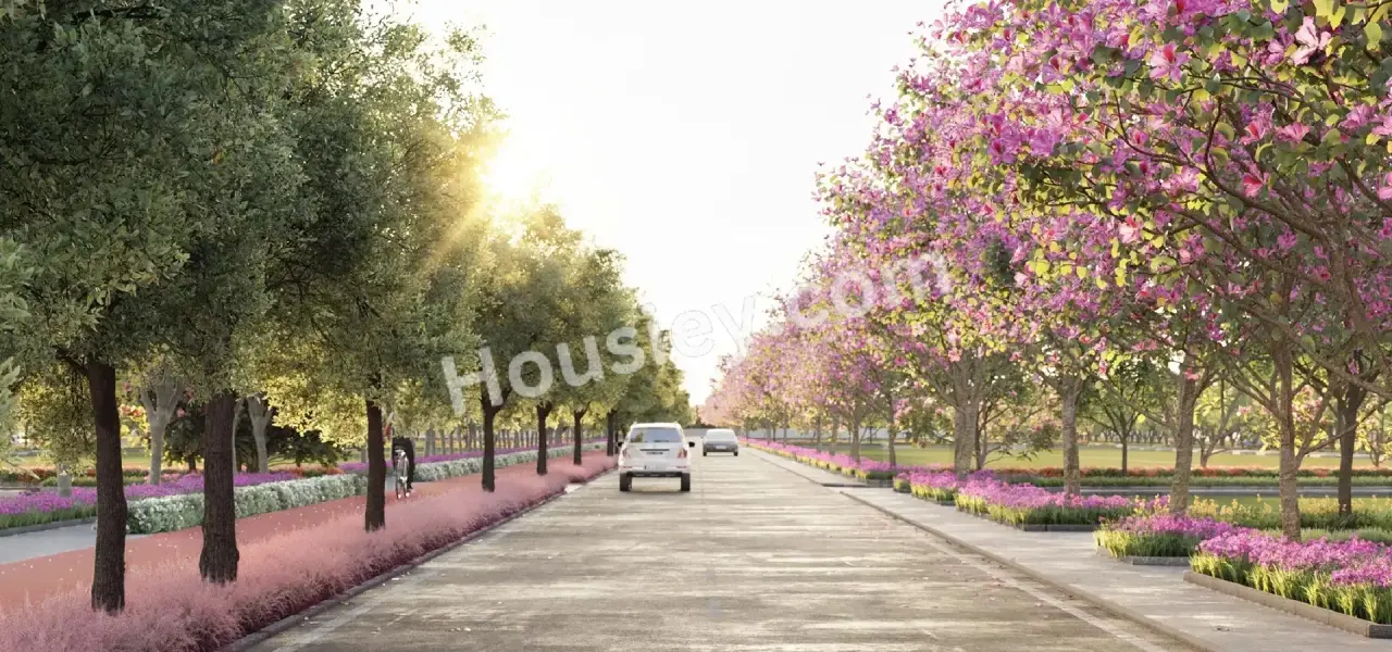 Project image 1