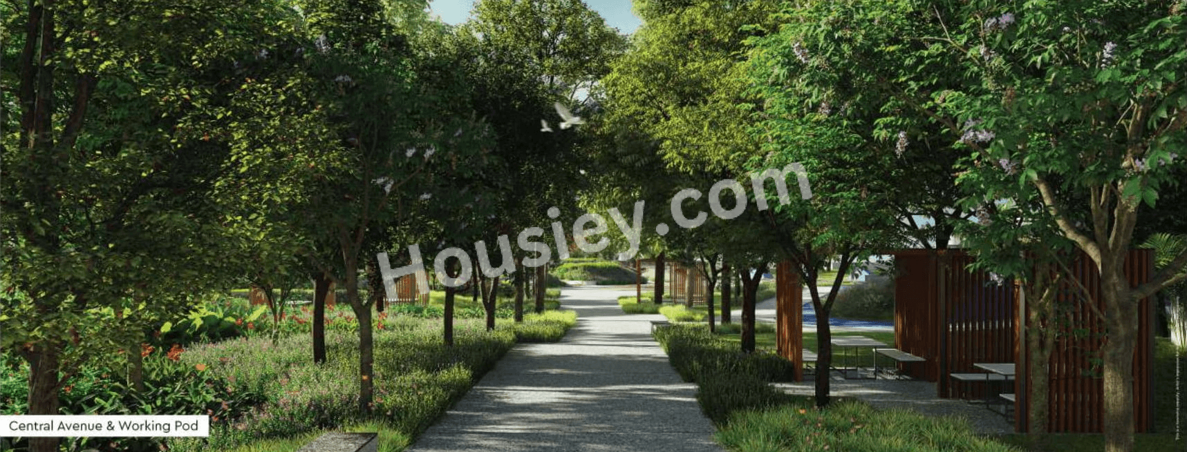 Project image 11