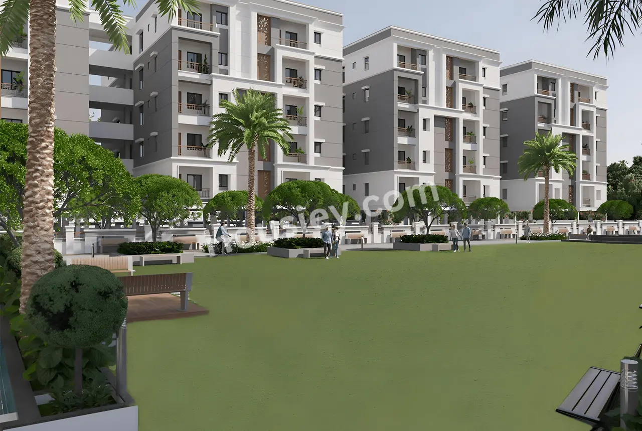 Project image 6