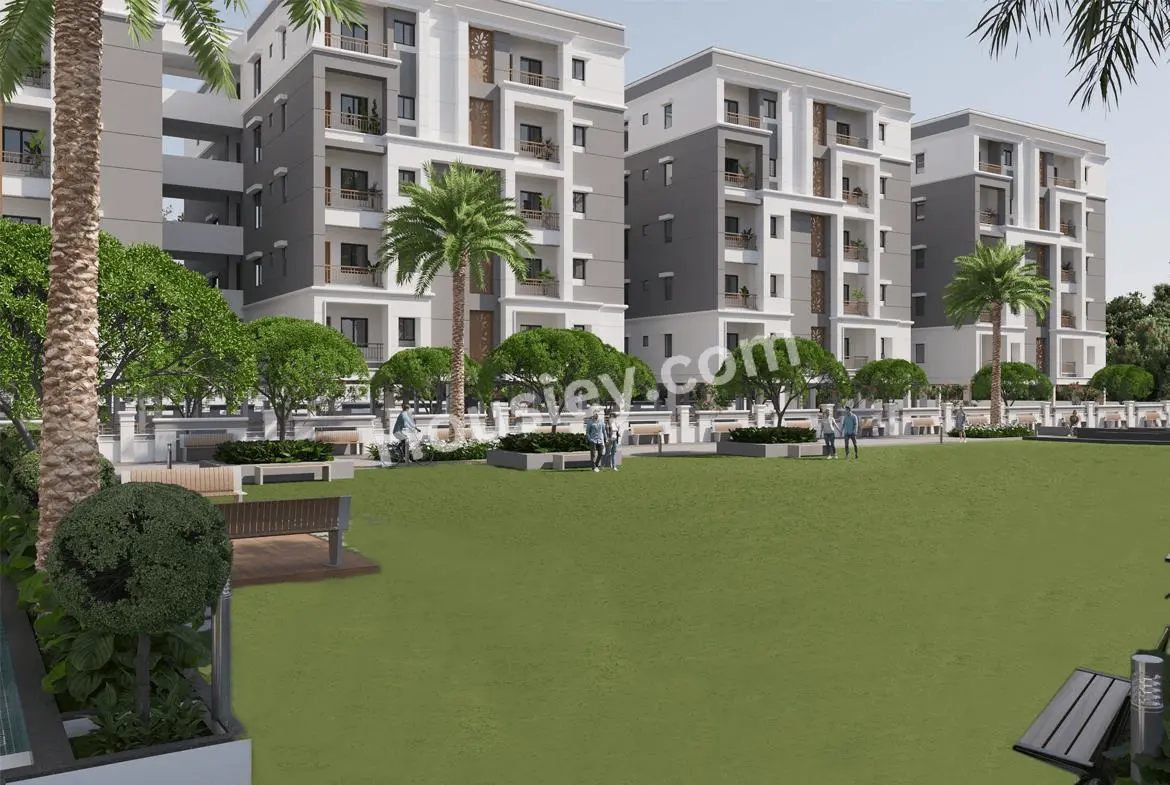 Project image 5