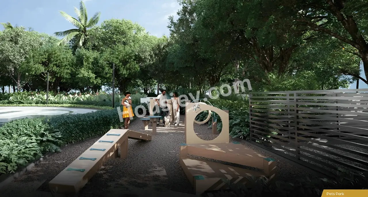Project image 18