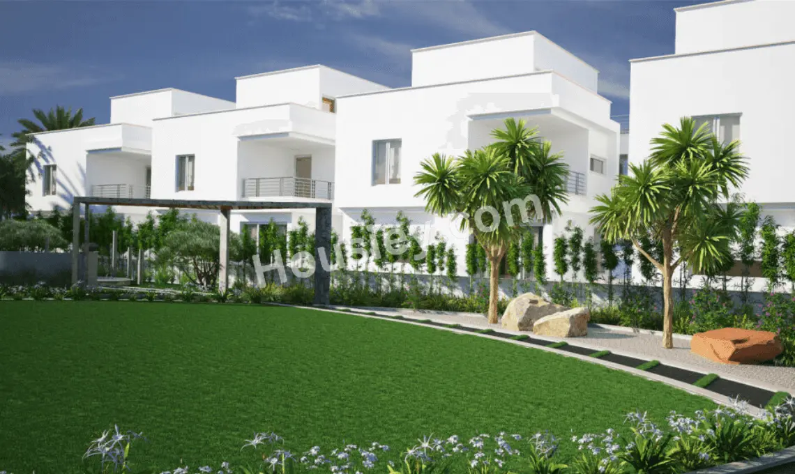 Project image 11
