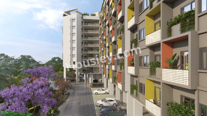 Project image 11