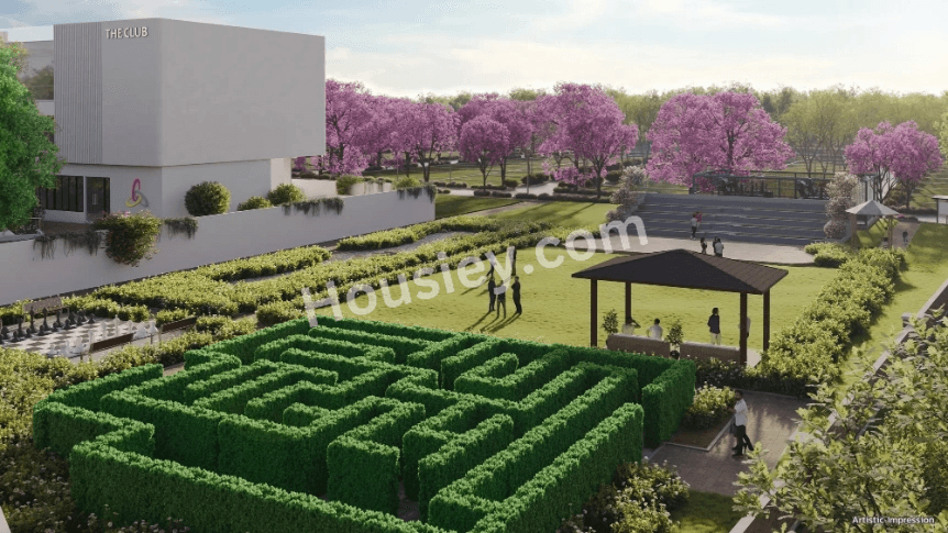 Project image 4