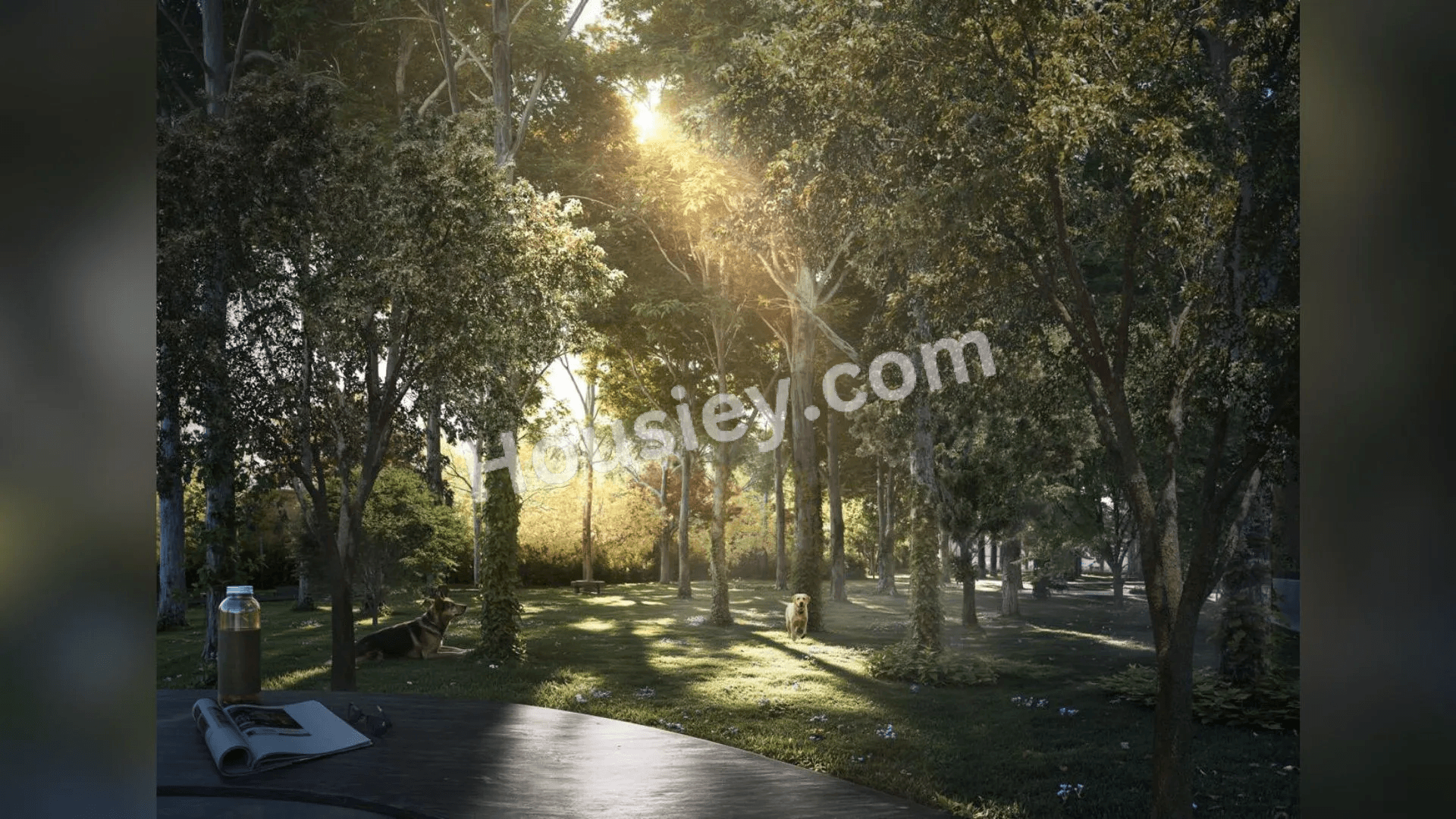 Project image 3
