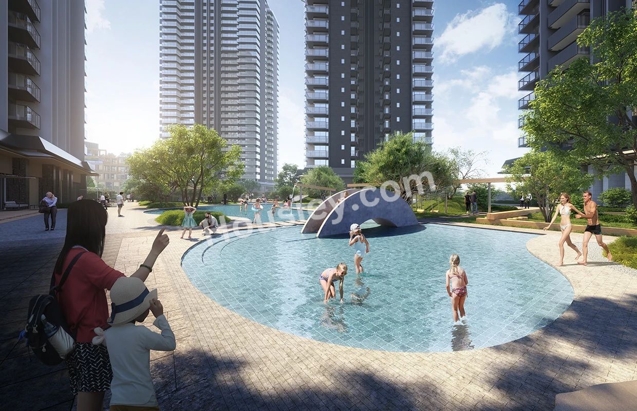 Project image 6