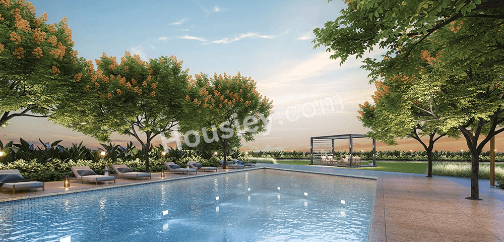 Project image 13