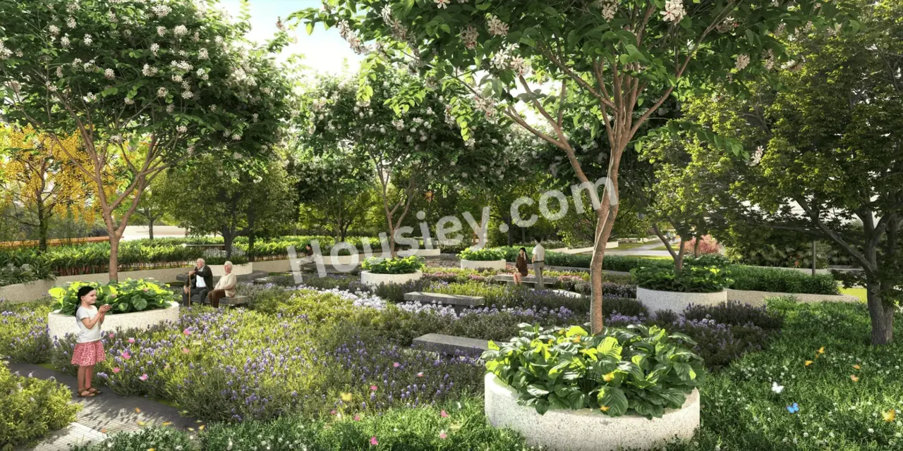 Project image 3
