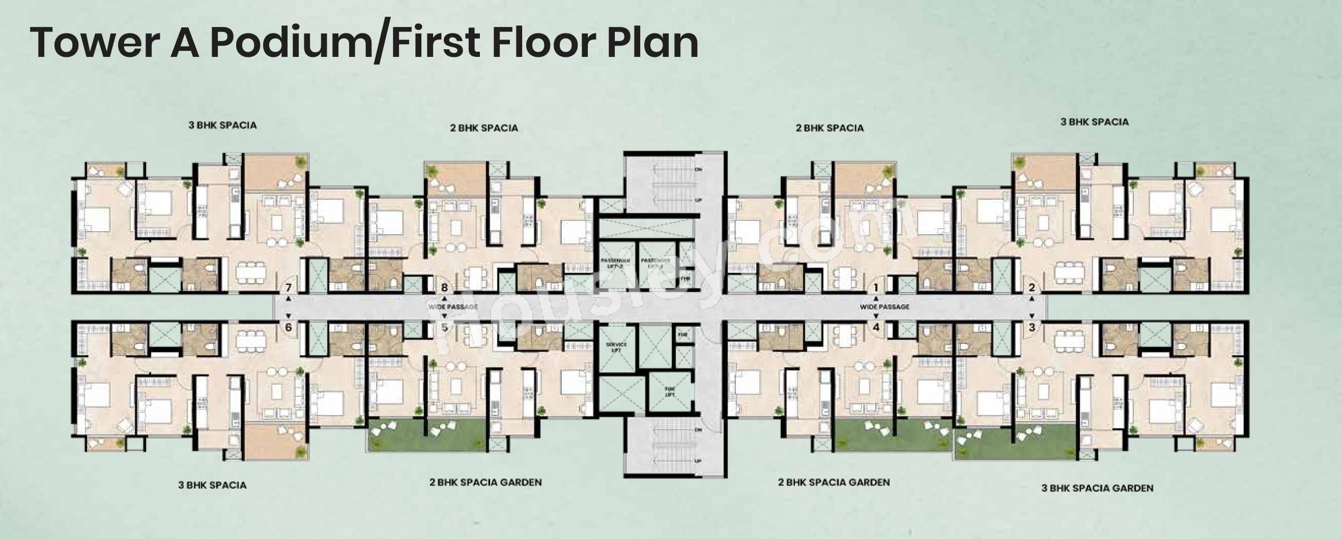 Floor Plan 1