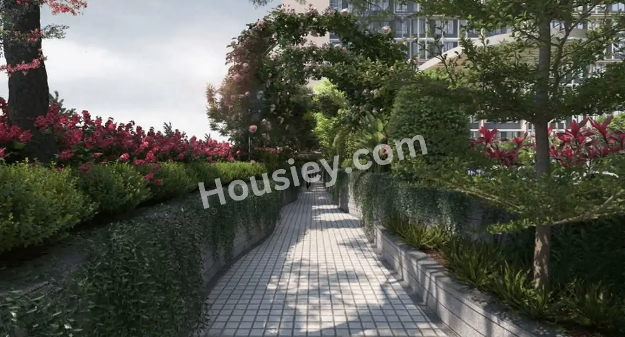 Project image 9