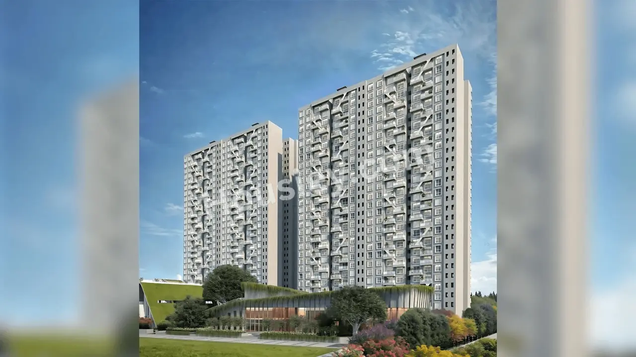 Project image 13