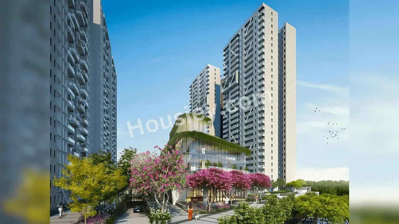 Project image 14