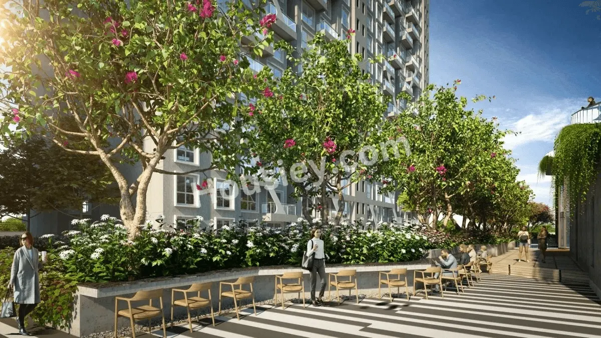 Project image 21