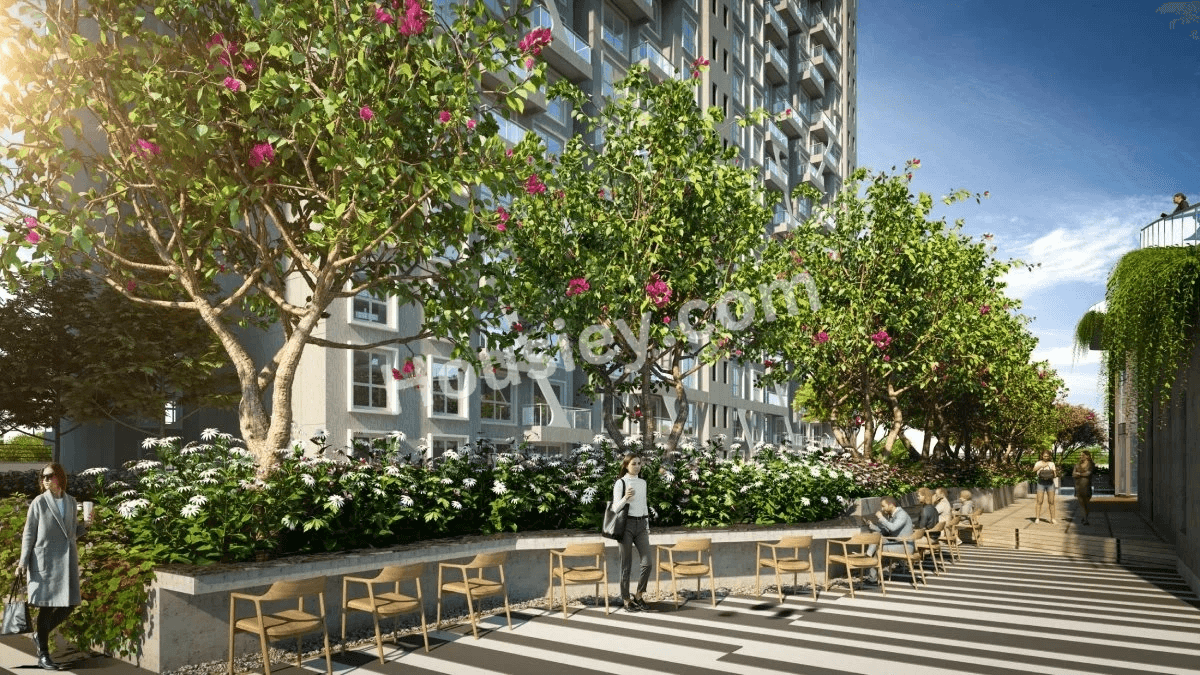 Project image 21