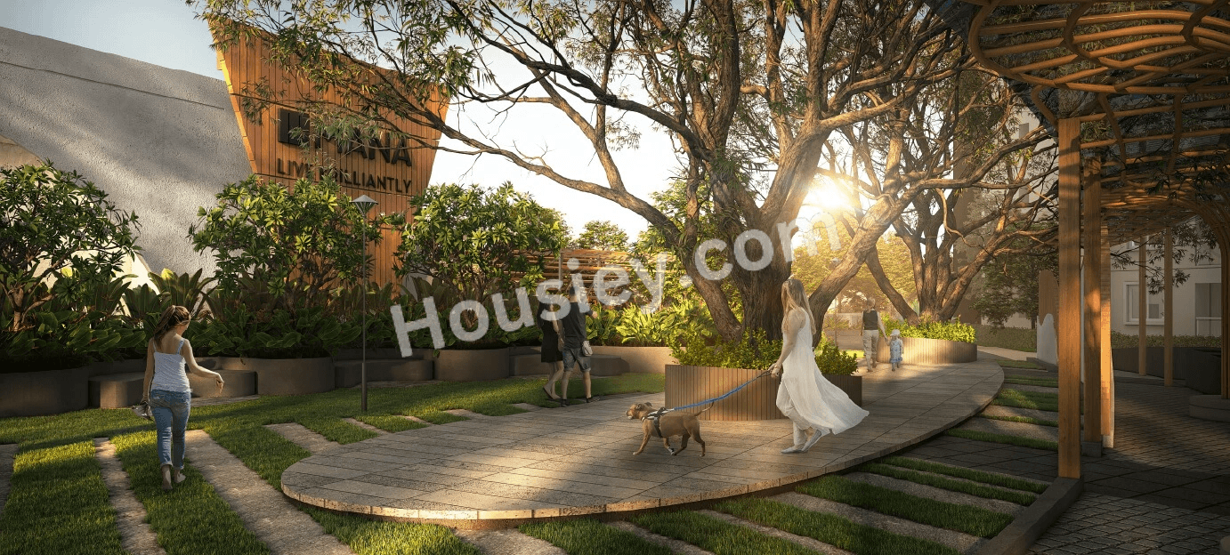 Project image 14