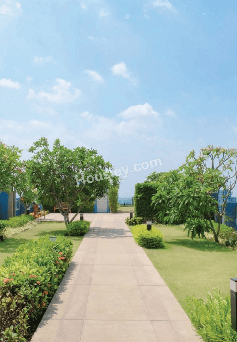 Project image 15