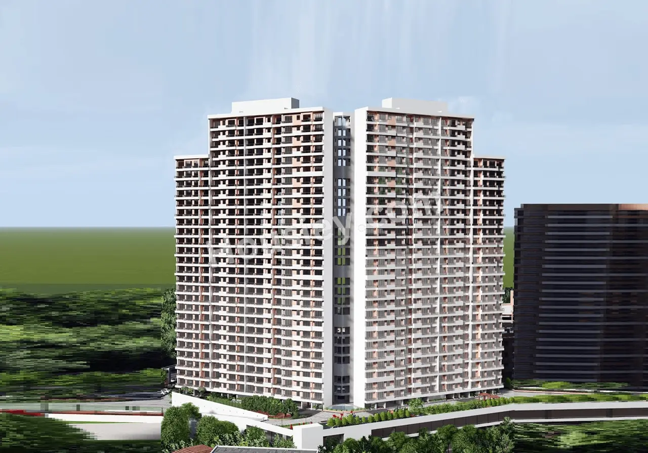 Project image 13
