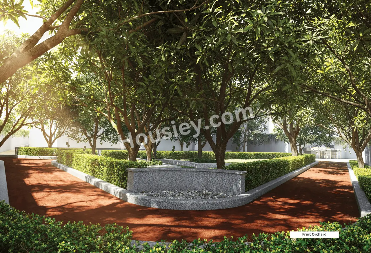 Project image 12