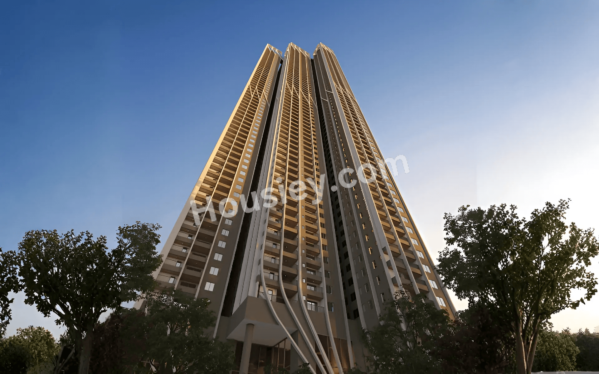 Project image 6