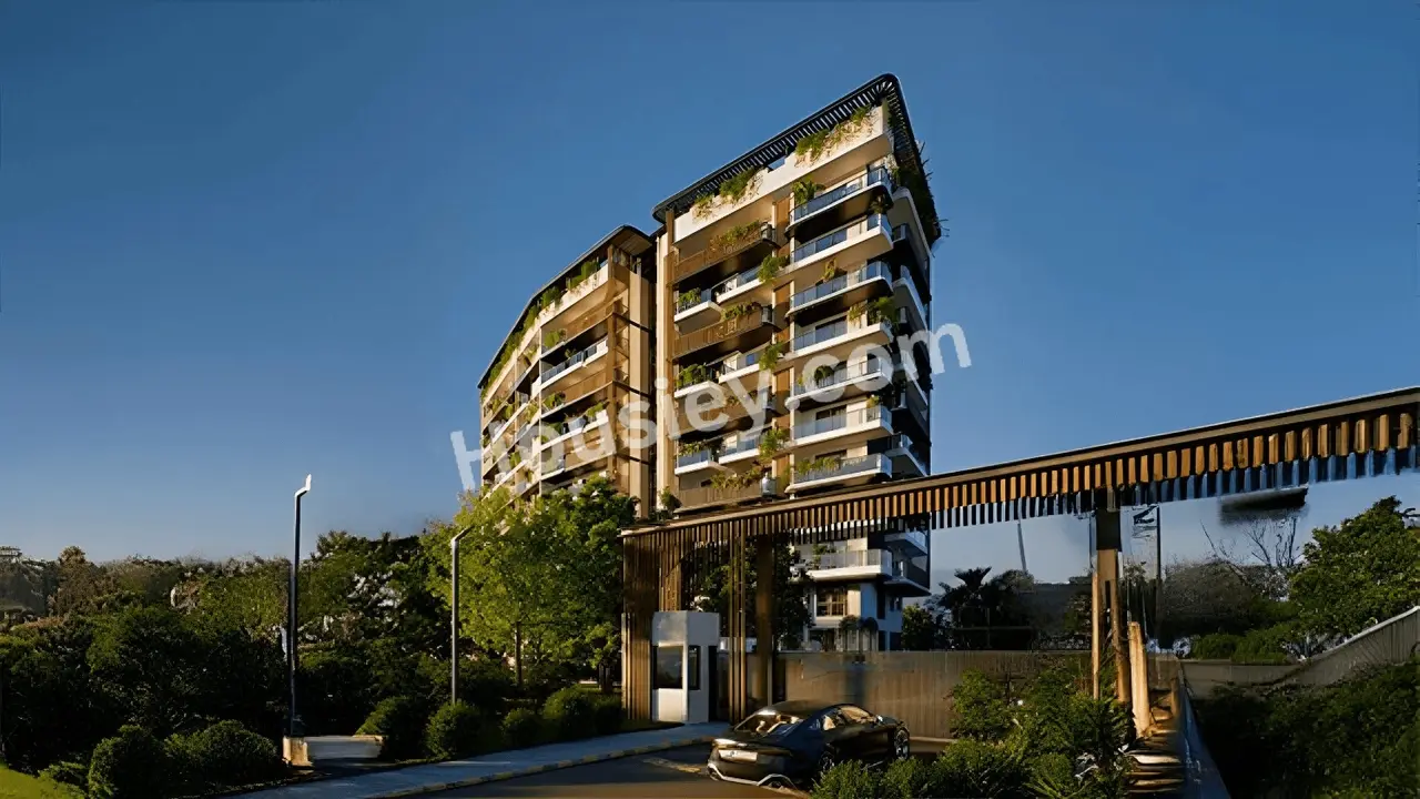Project image 2