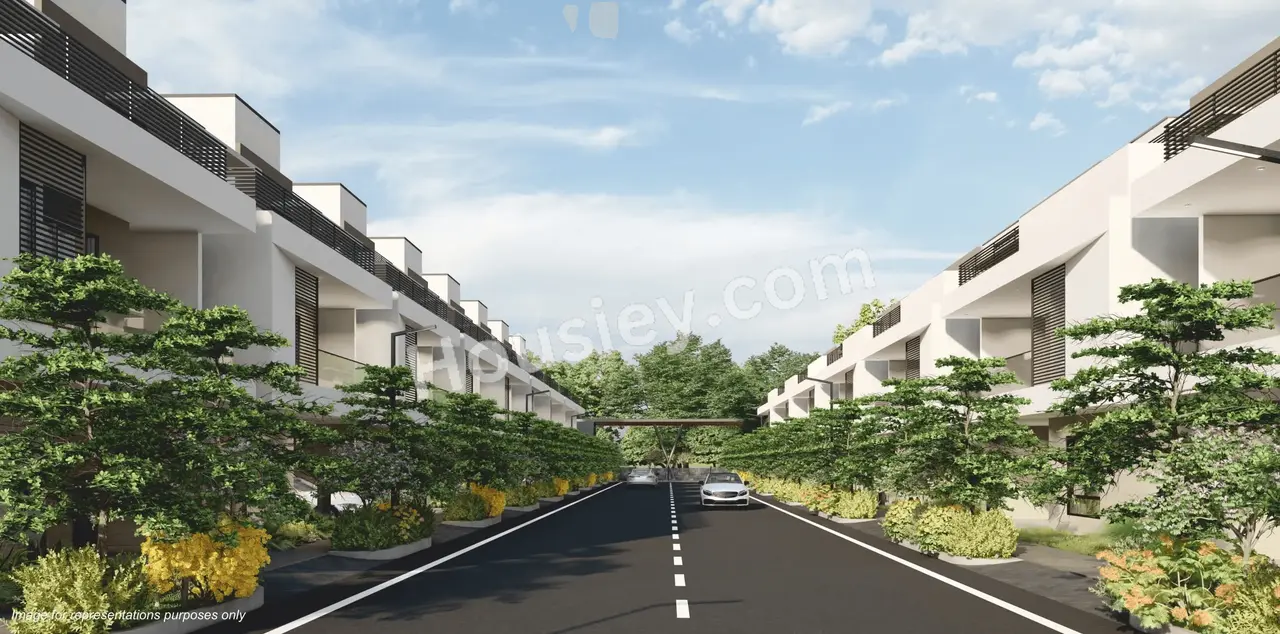 Project image 12
