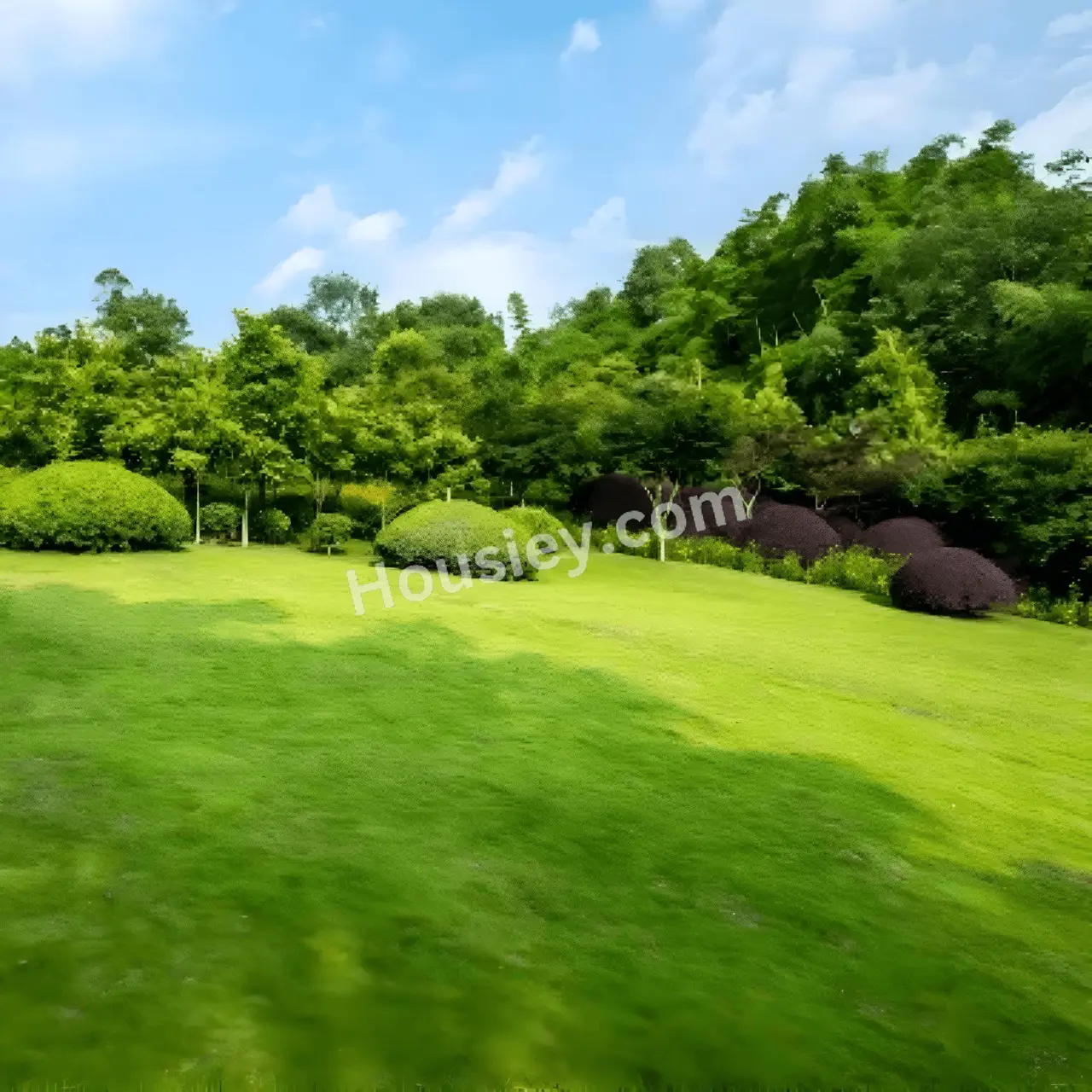 Project image 3