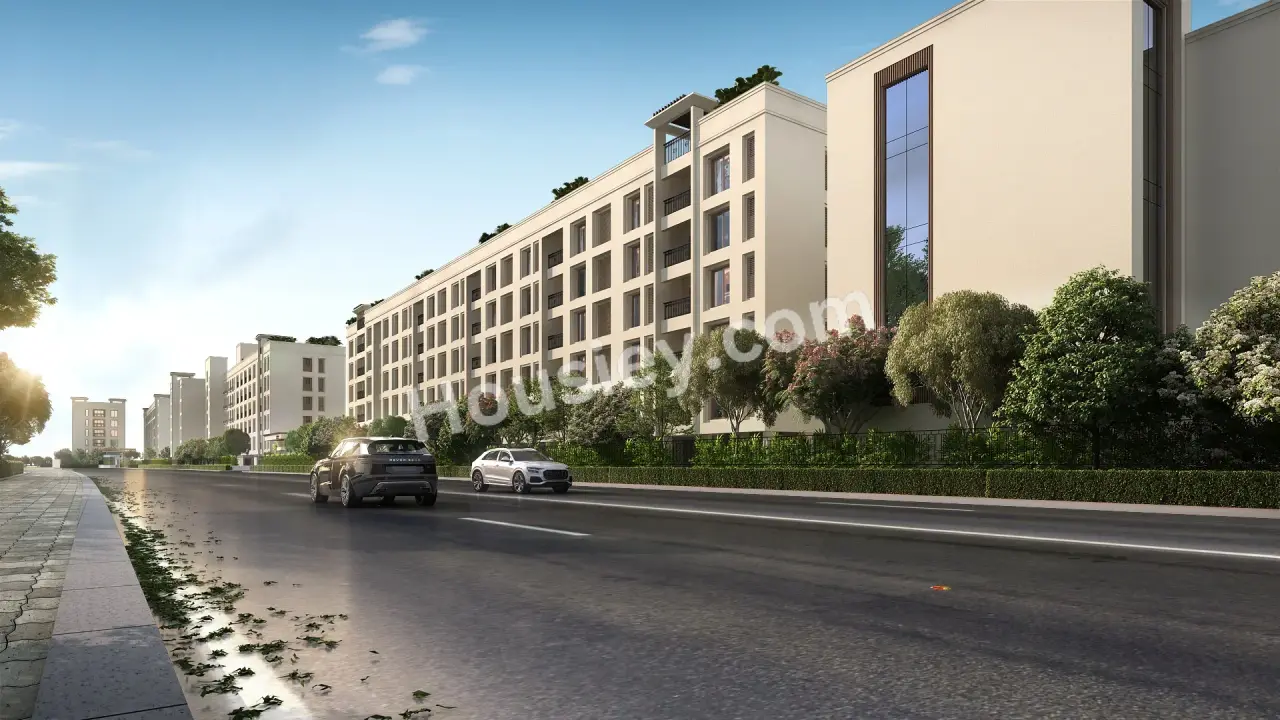 Project image 19
