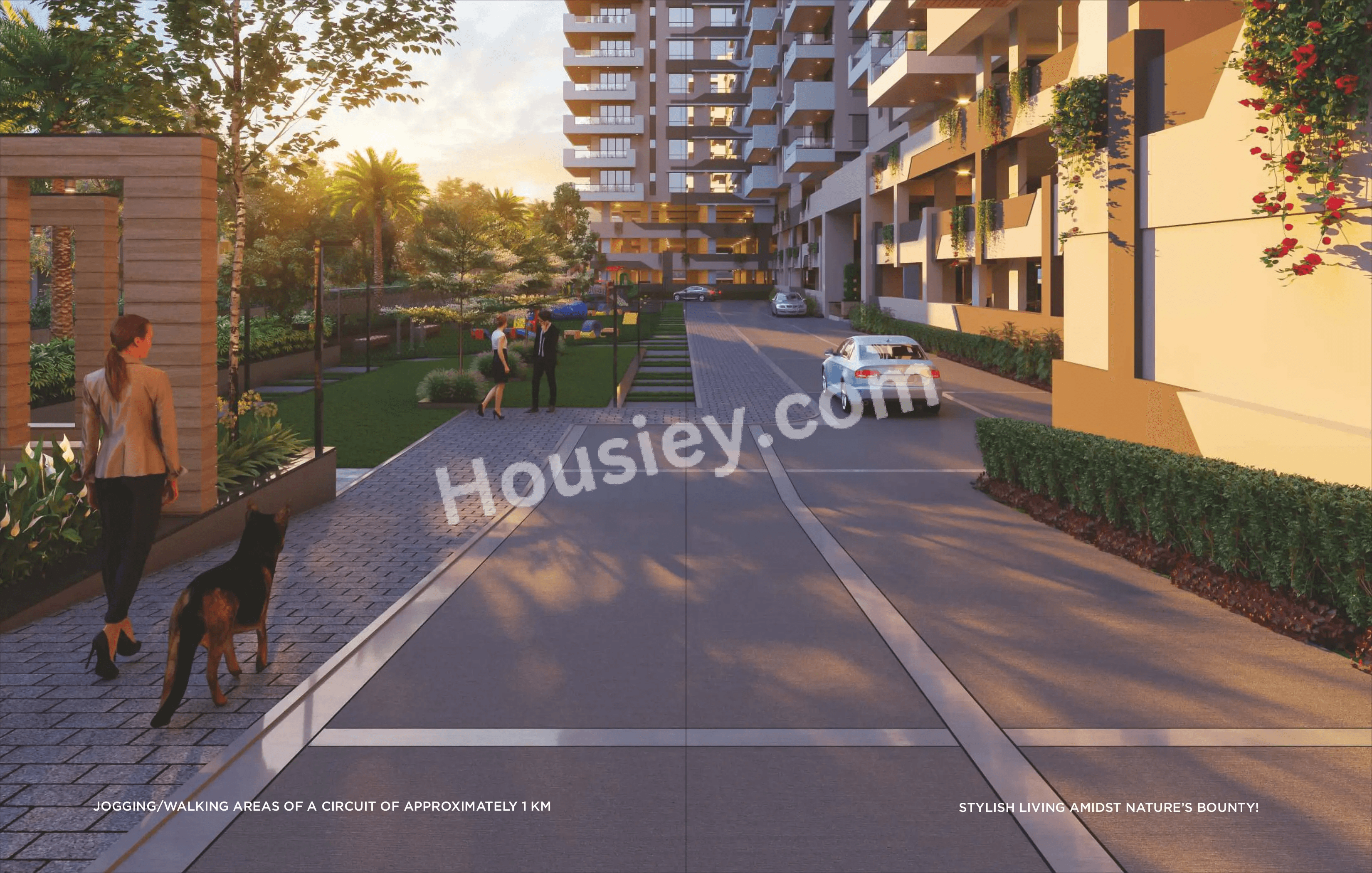 Project image 16