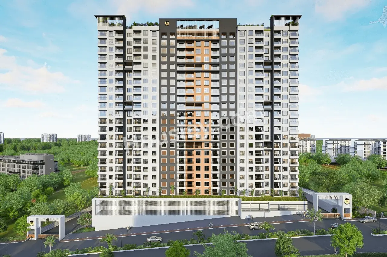 Project image 14
