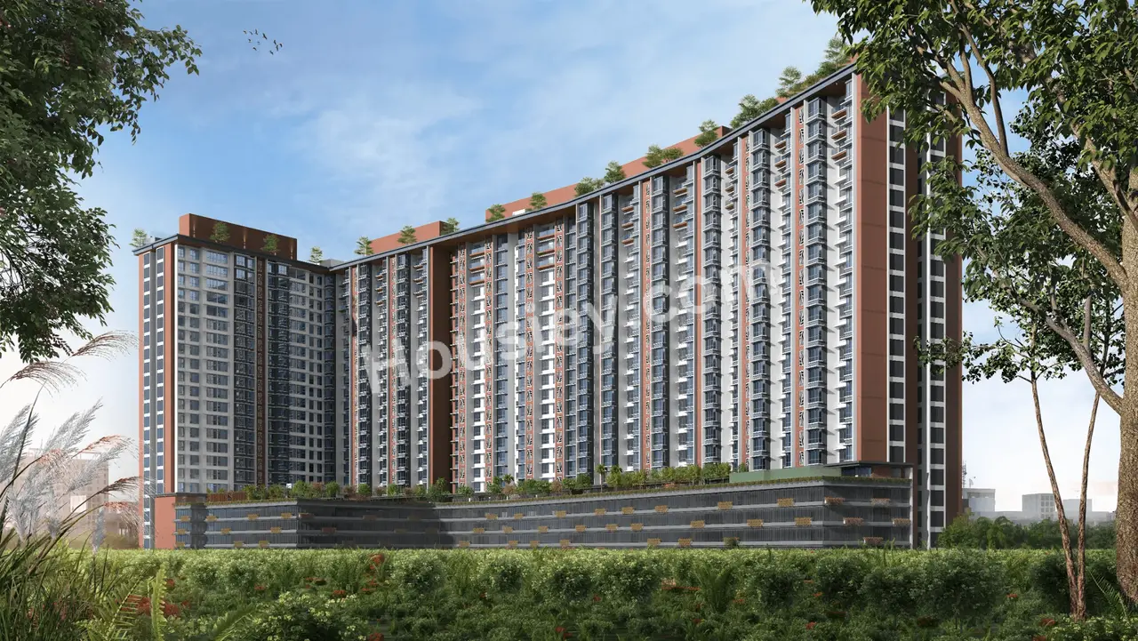 Project image 5