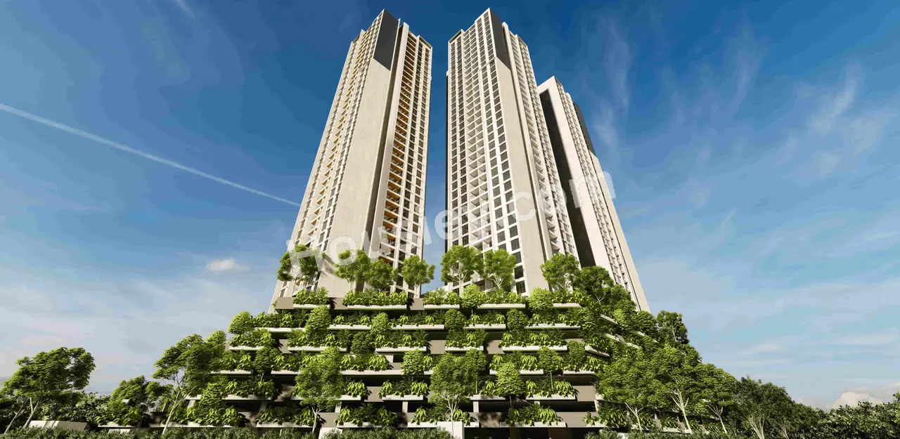 Project image 8