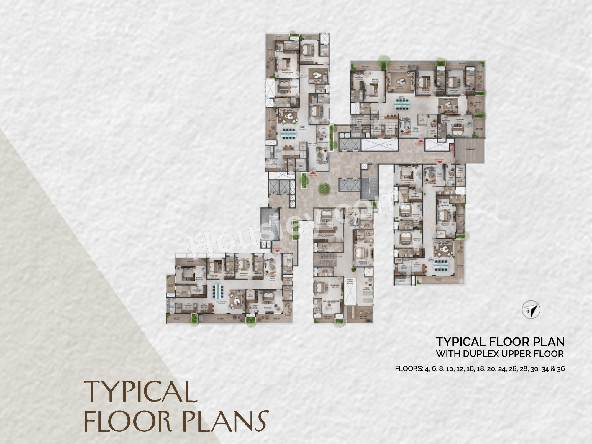 Floor Plan 6