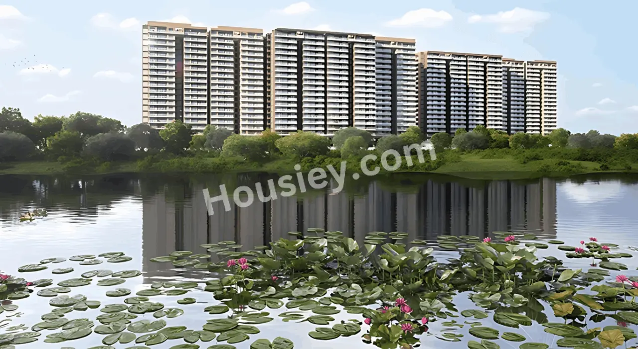 Project image 11