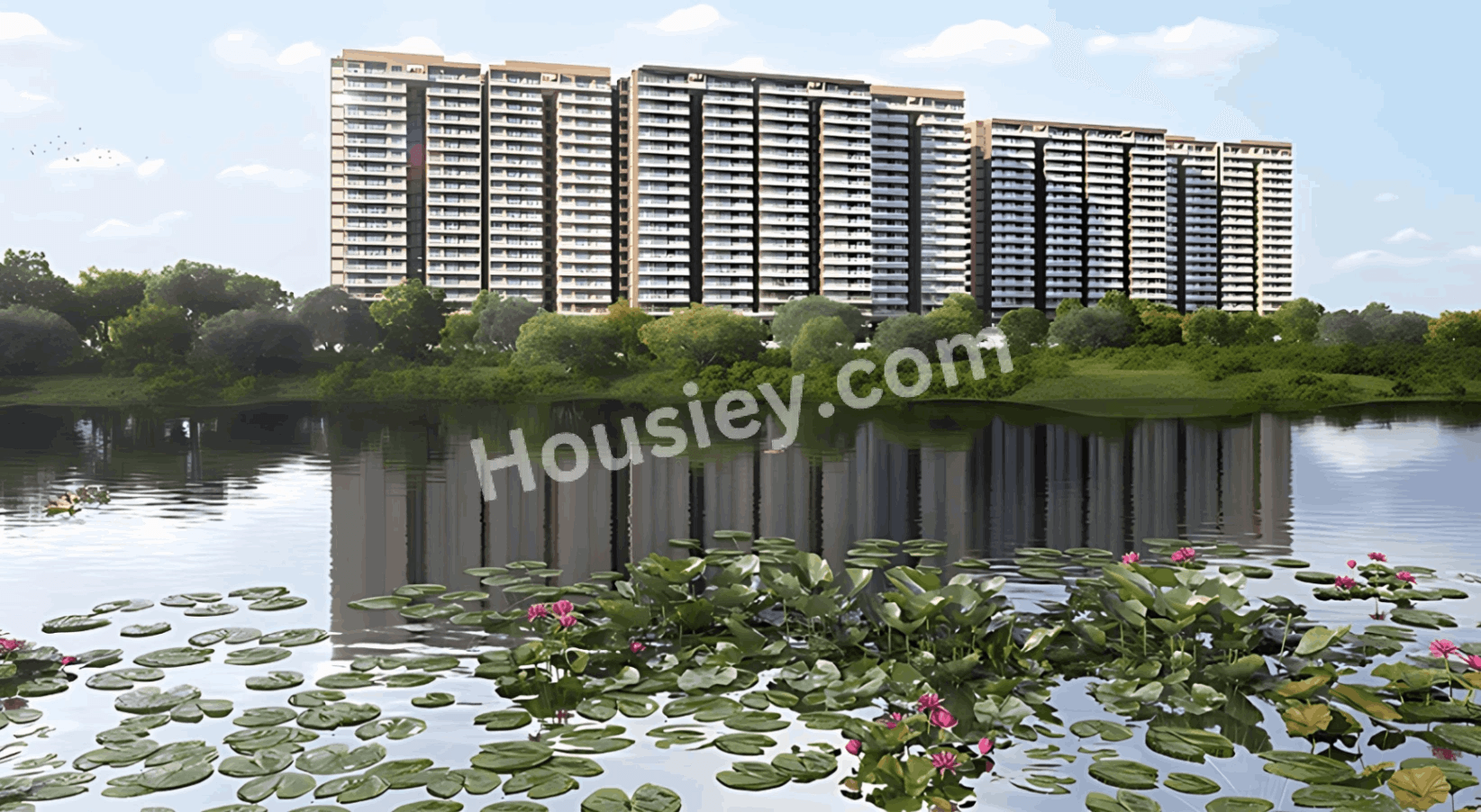 Project image 11
