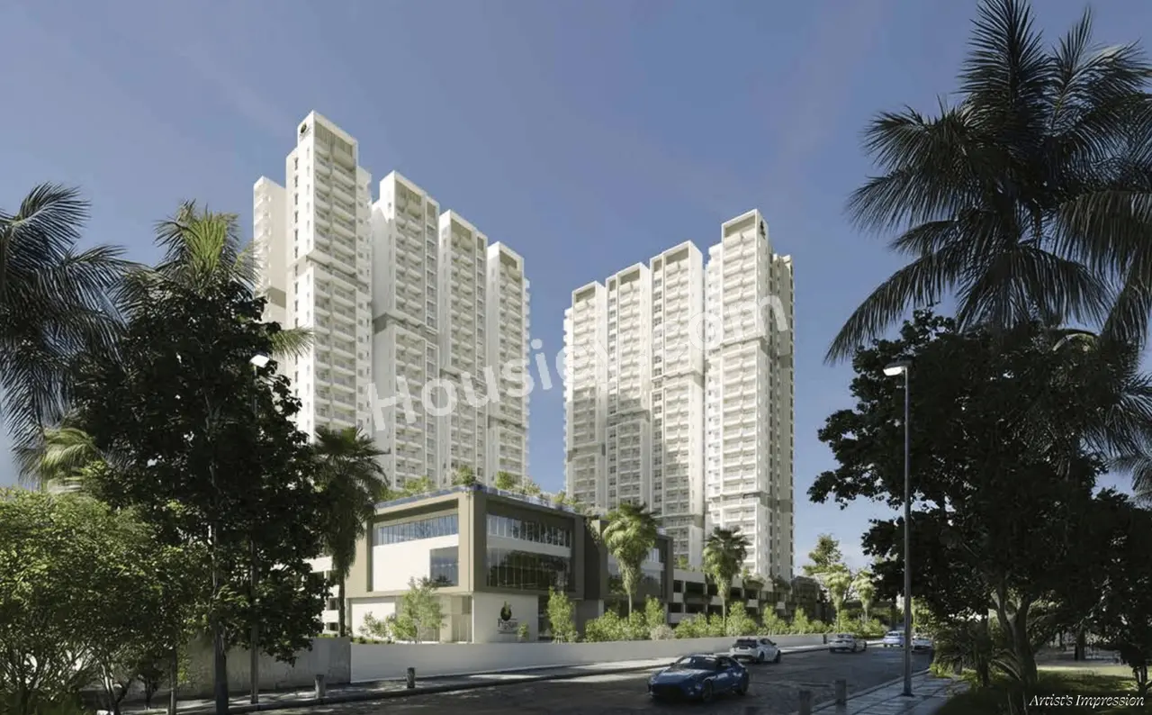Project image 13