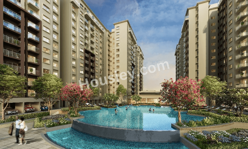 Project image 7