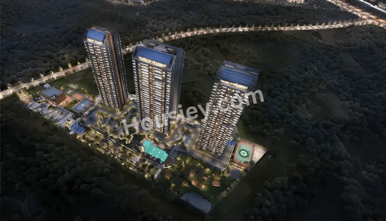 Project image 13