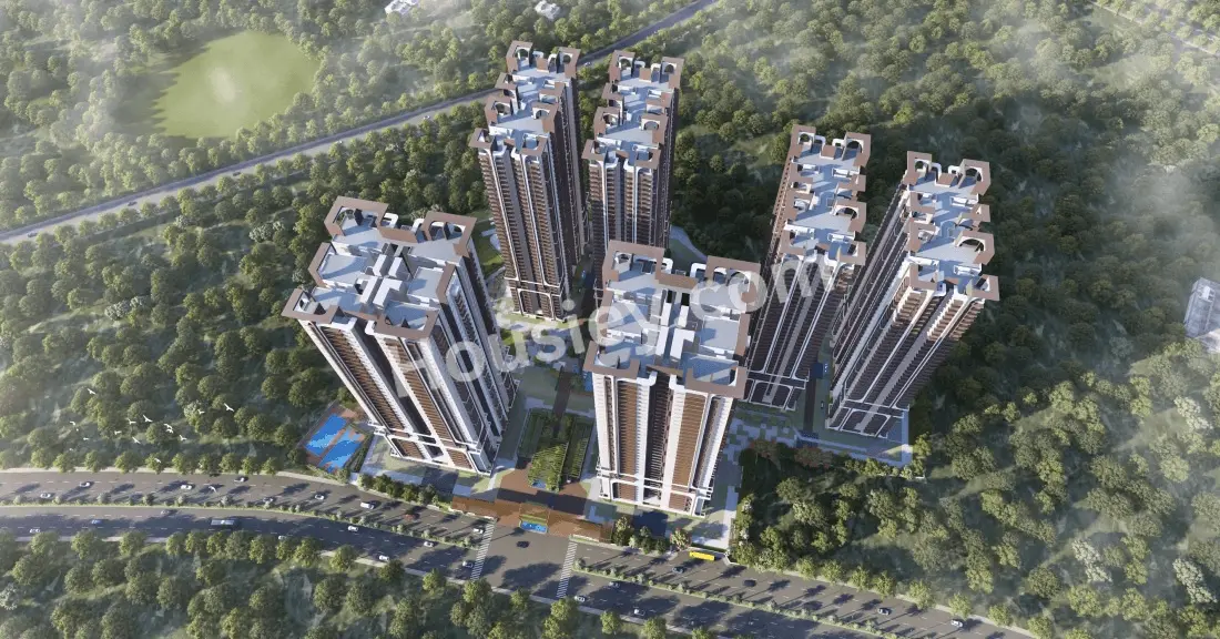 Project image 6