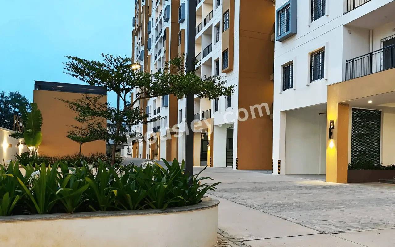 Project image 10
