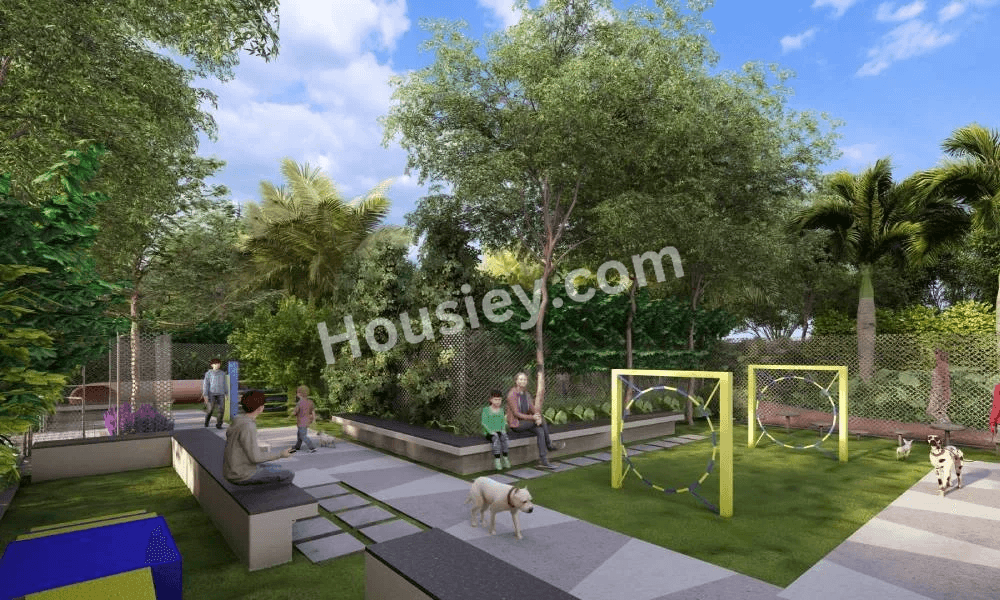 Project image 11