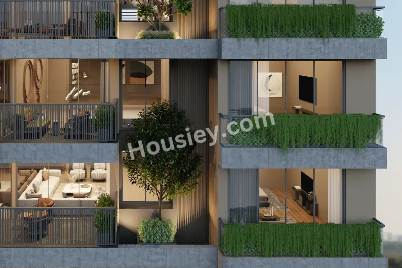 Project image 5