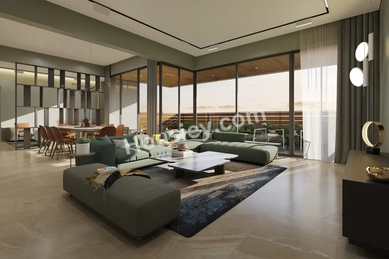 Project image 11