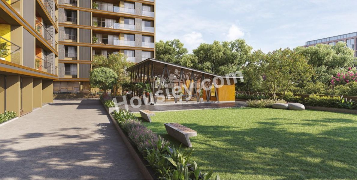 Project image 6